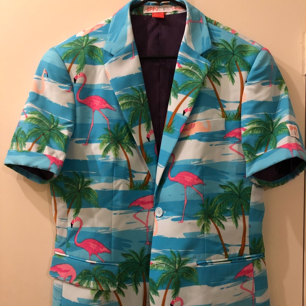 Flamingo Oppo Suit